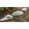 Alligator Stones