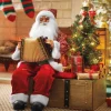 Animated Santa Playing Accordian