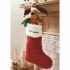Animated Singing Dog Stocking