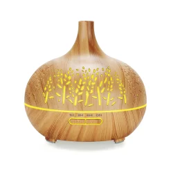 Aromatherapy Diffuser with 6 Pack of Oils