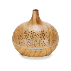 Aromatherapy Diffuser with 6 Pack of Oils