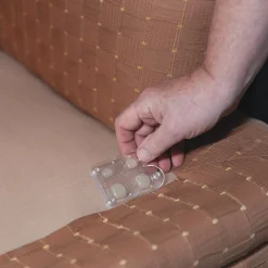 Bed Bug Traps