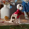Bonezie Hillbilly Farm Dog Skeleton