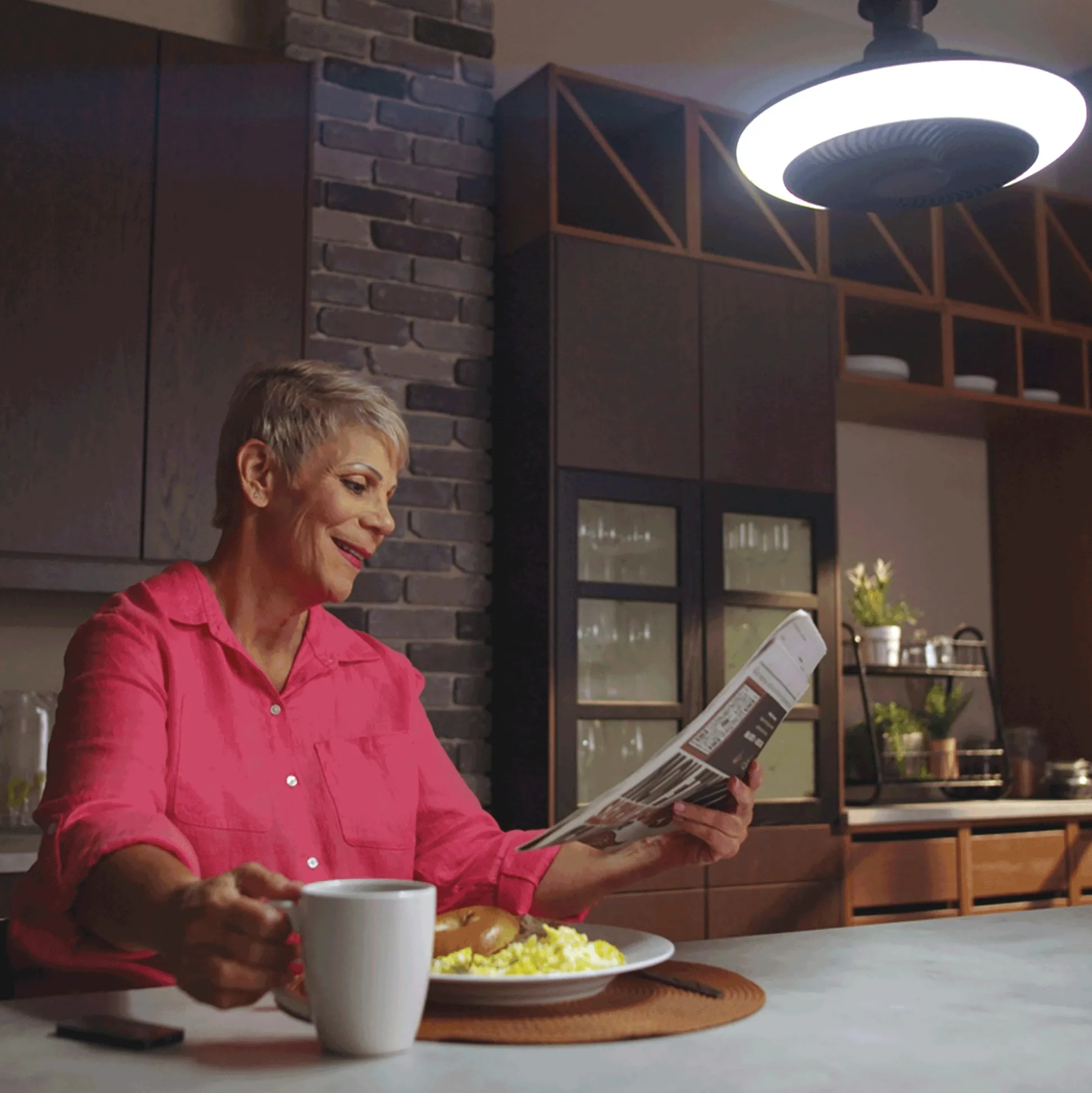 Breeze Brite Light Fan