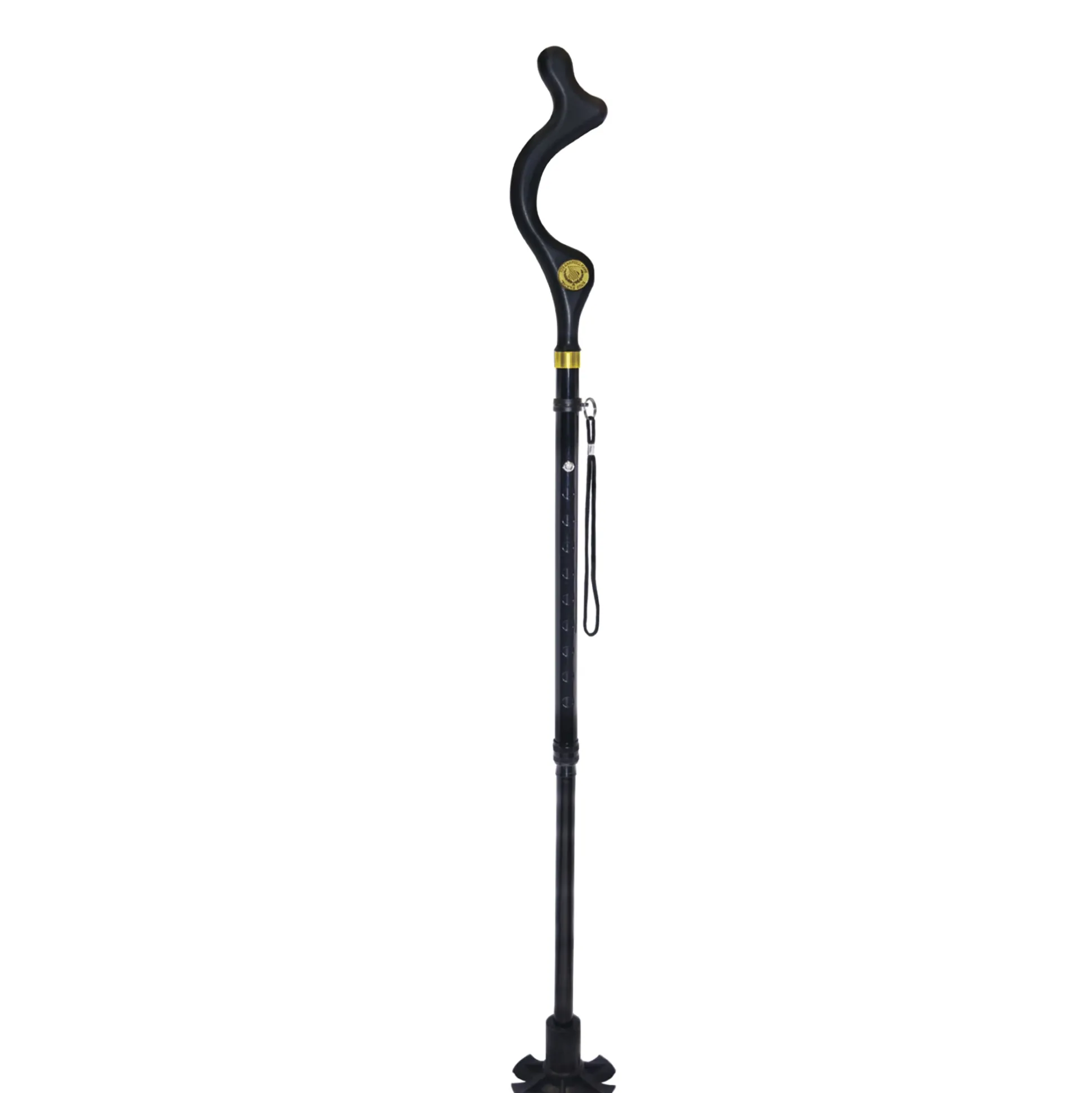 Campbell Posture Cane