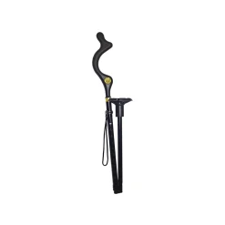Campbell Posture Cane