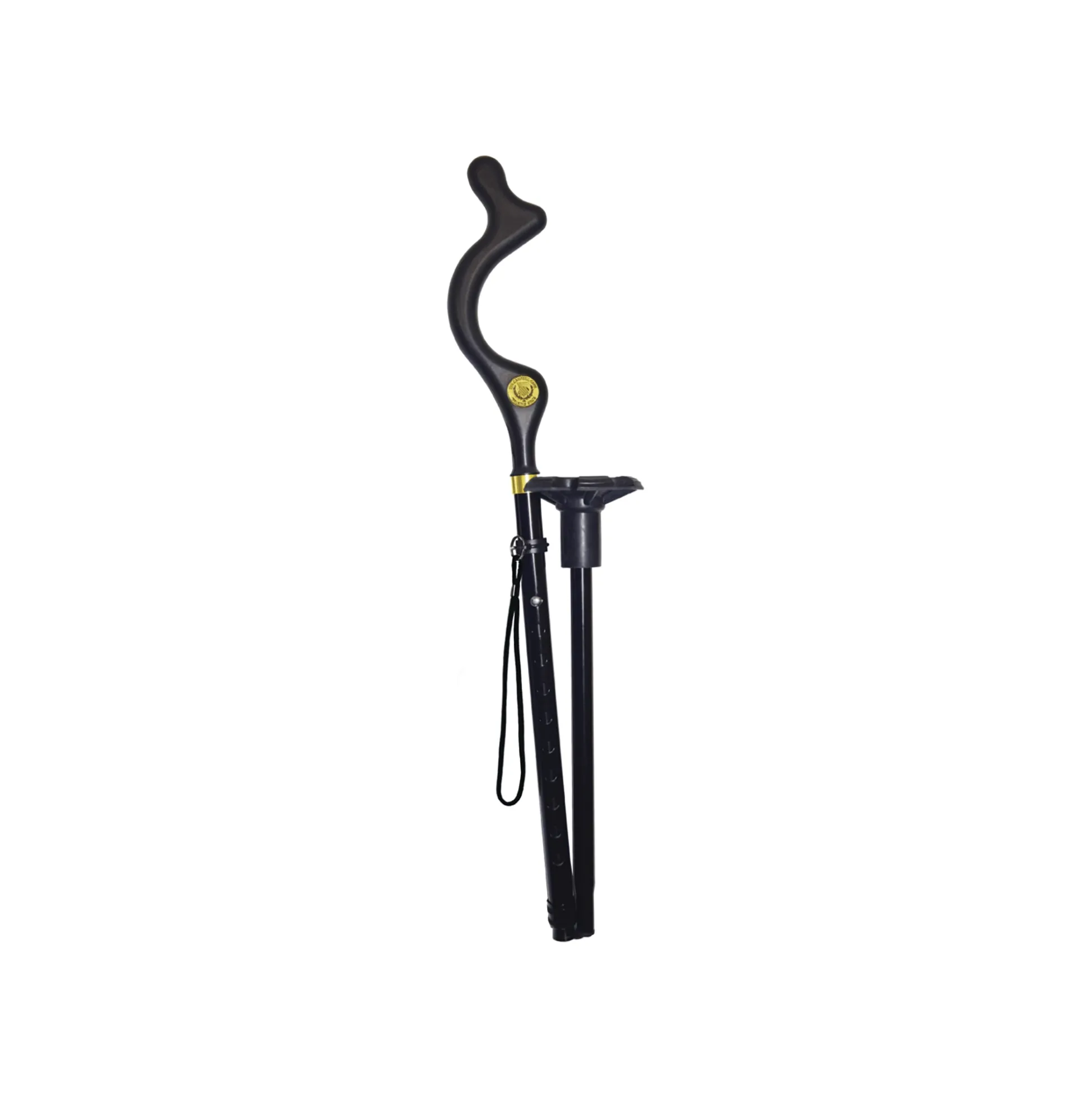 Campbell Posture Cane