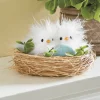 Chicks in a Nest