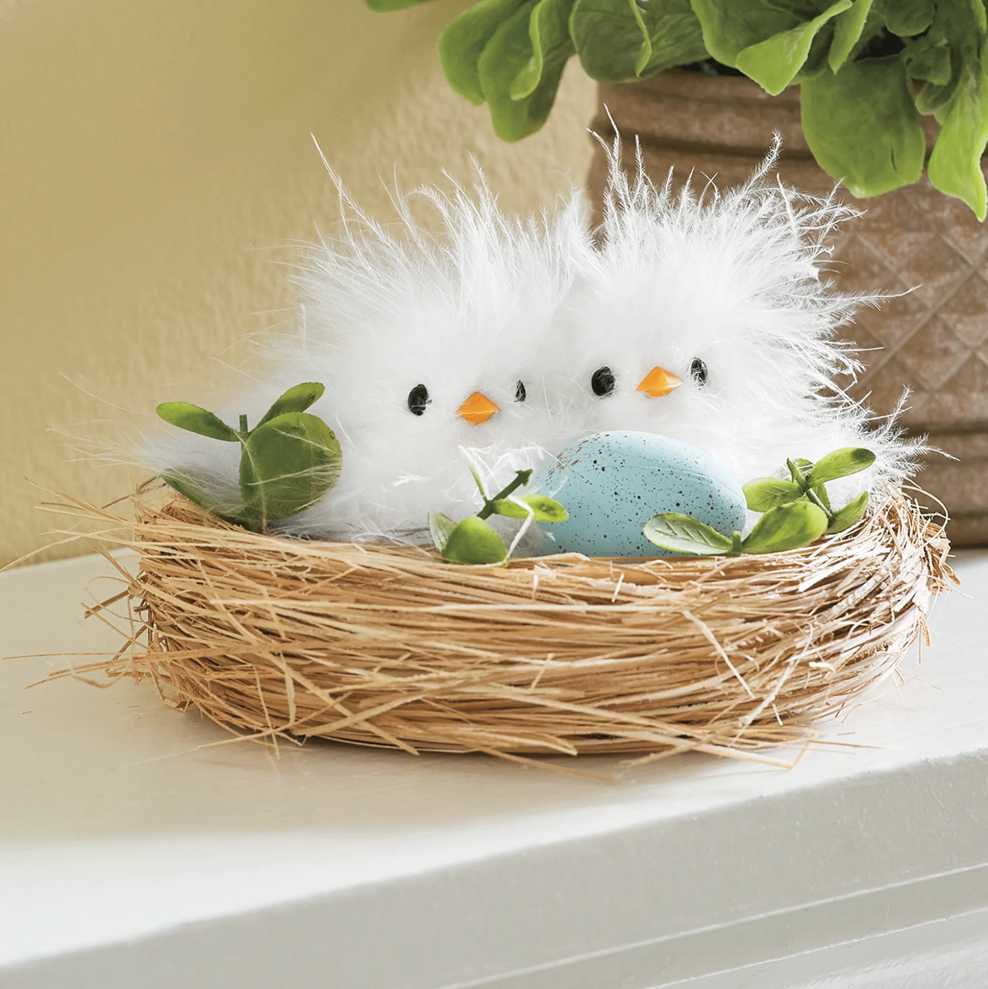 Chicks in a Nest