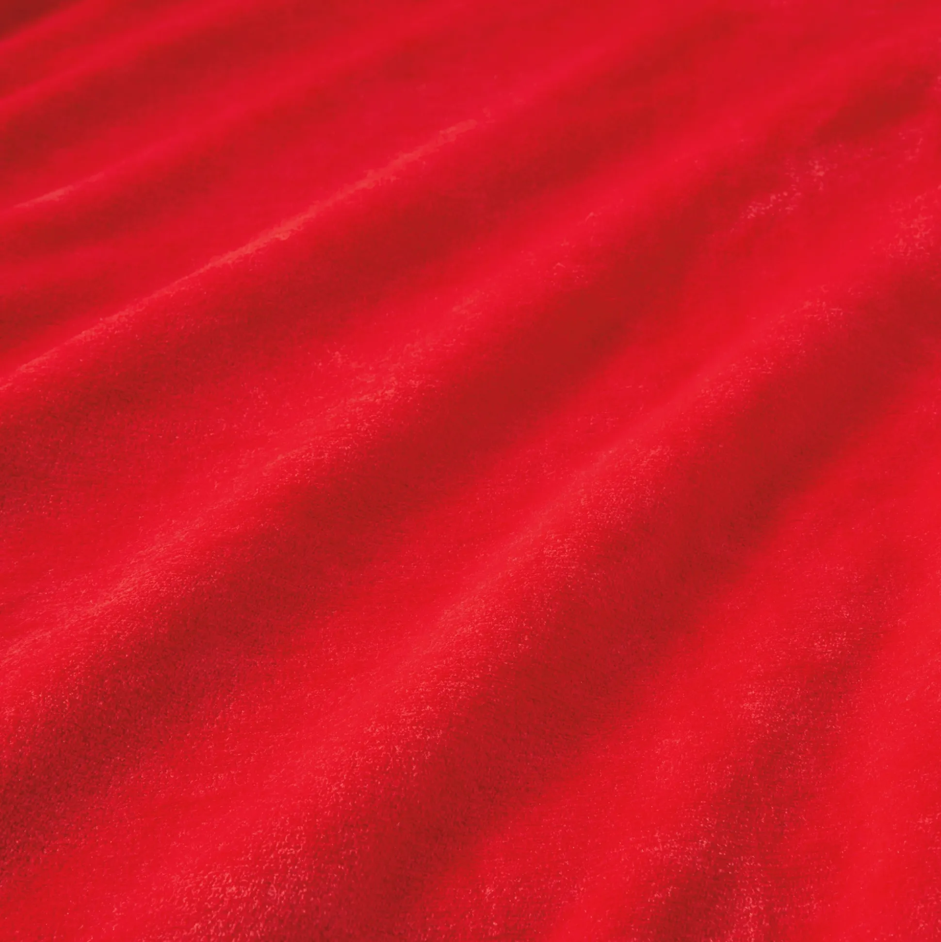 Color Connection Microplush Fleece Blanket