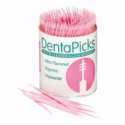 DentaPicks Plastic Toothpicks