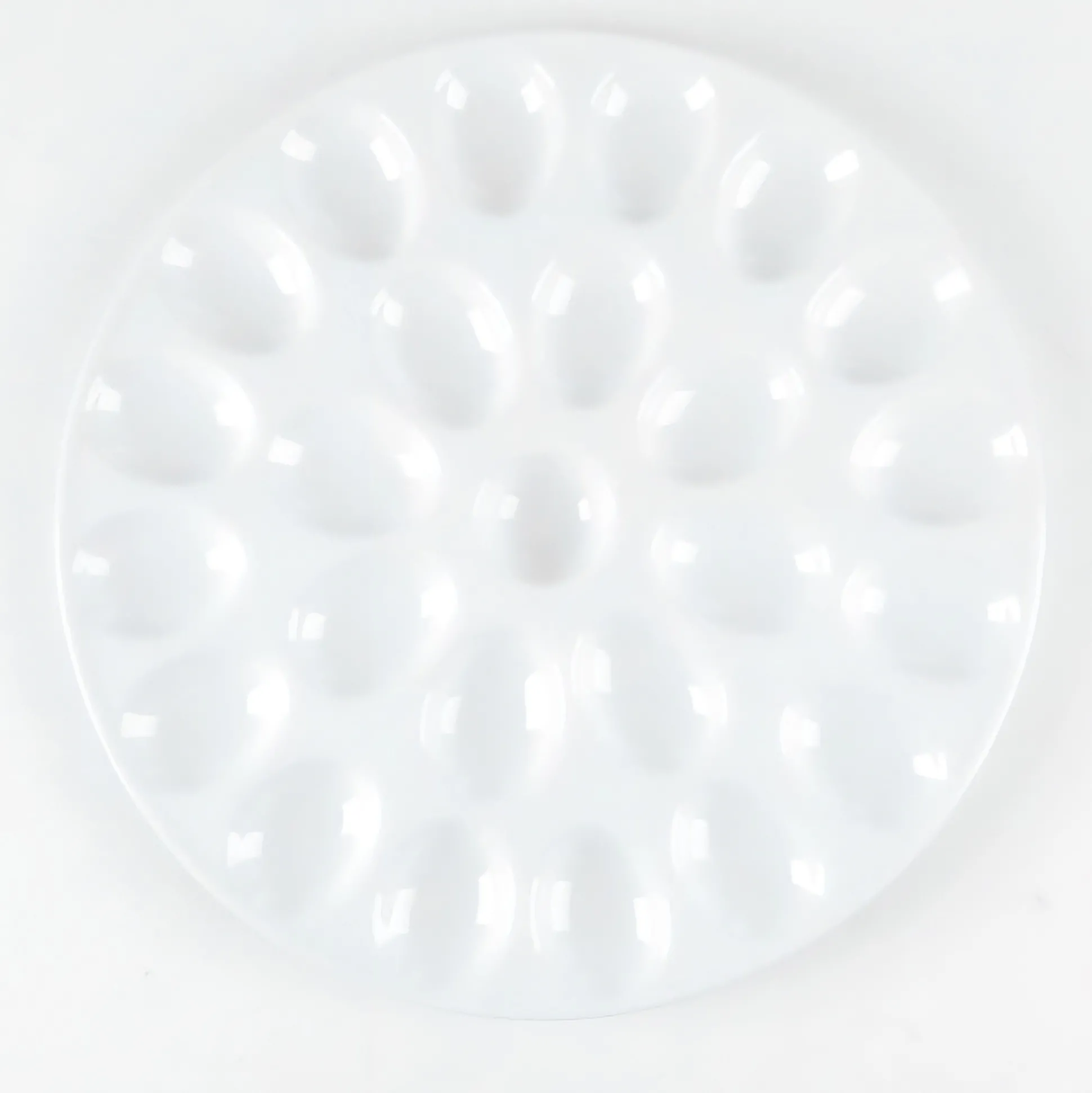 Deviled Egg Tray