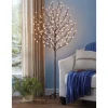 Dogwood Lit Tree