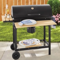Fire Sense Backyard Charcoal Grill