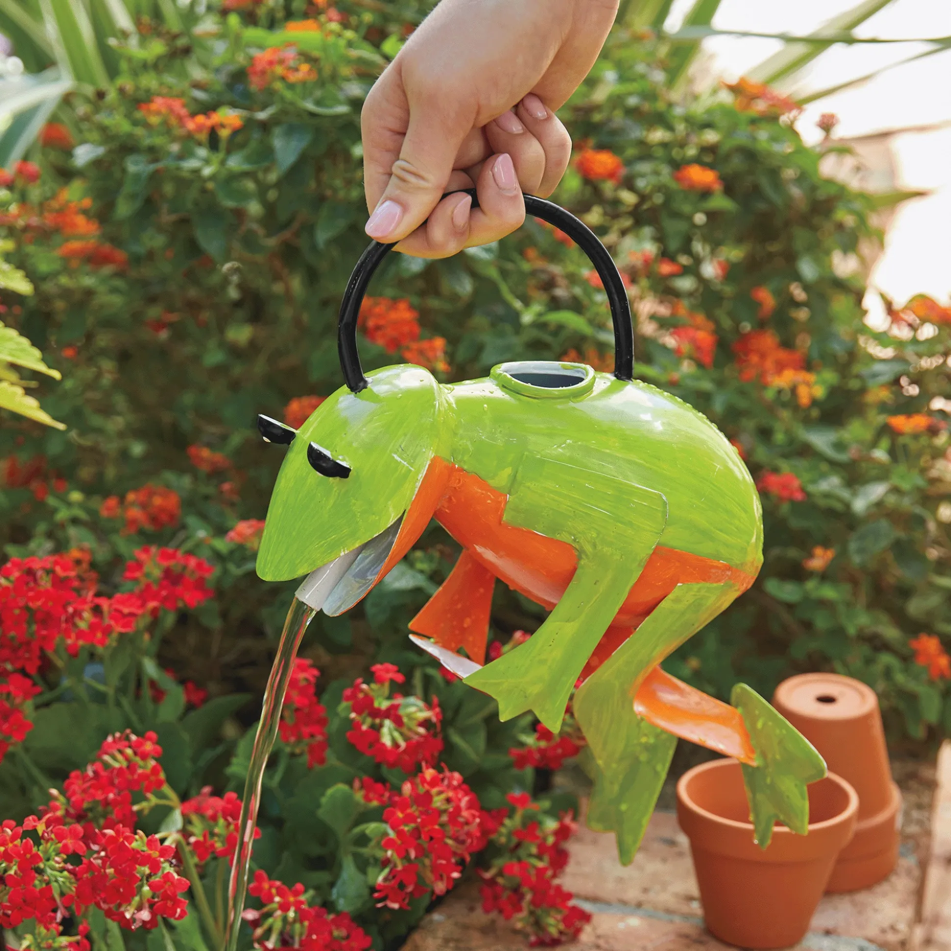 Frog Love Watering Can