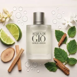 Giorgio Armani Acqua di Gio for Him