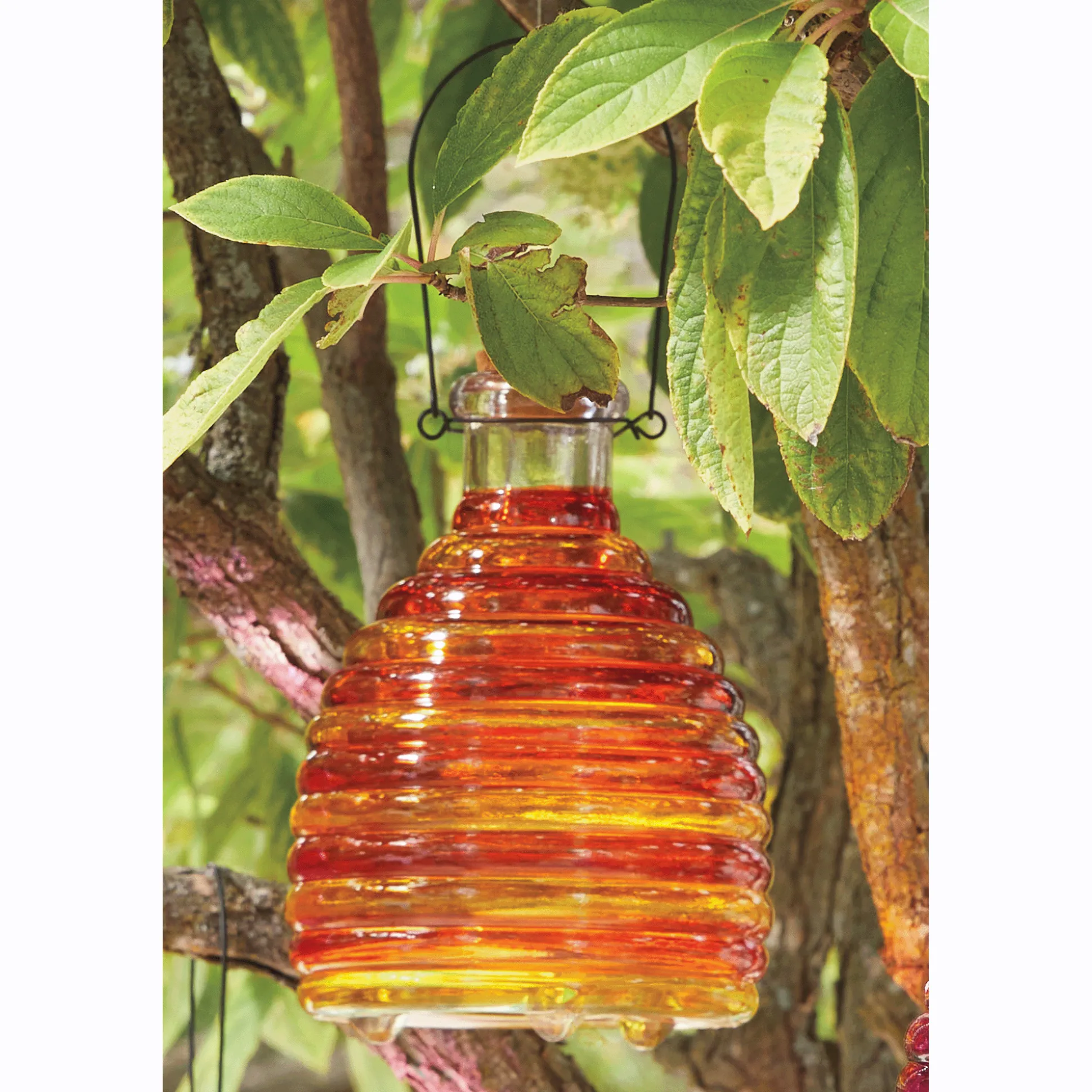Glass Wasp Trap