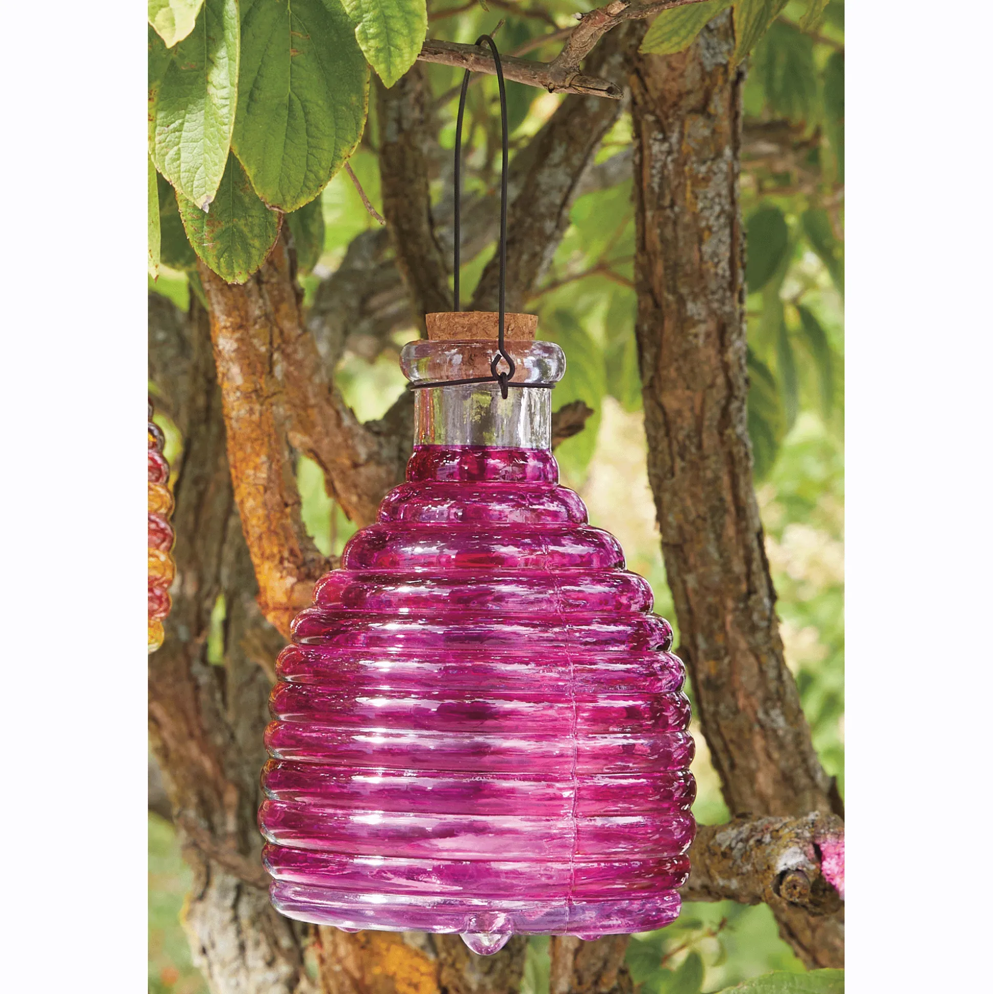 Glass Wasp Trap