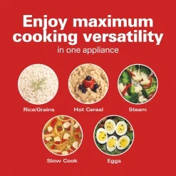 Hamilton Beach Compact Multi-Cooker