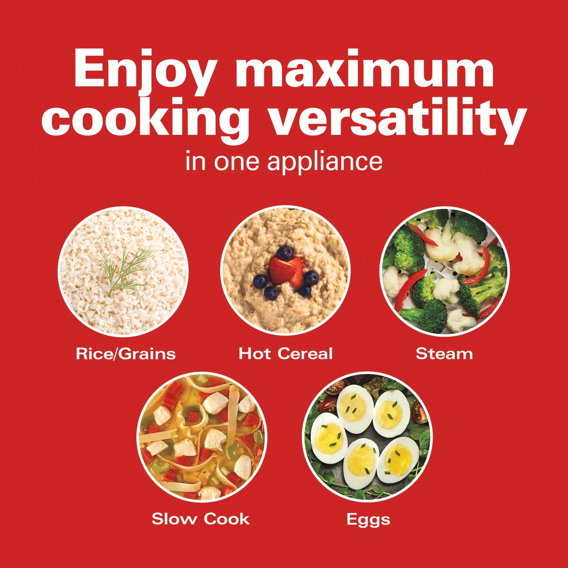Hamilton Beach Compact Multi-Cooker