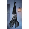 Hanging Creature