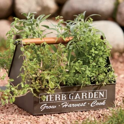 Herb Garden Organizer