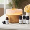 Himalayan Salt Diffuser with Remote