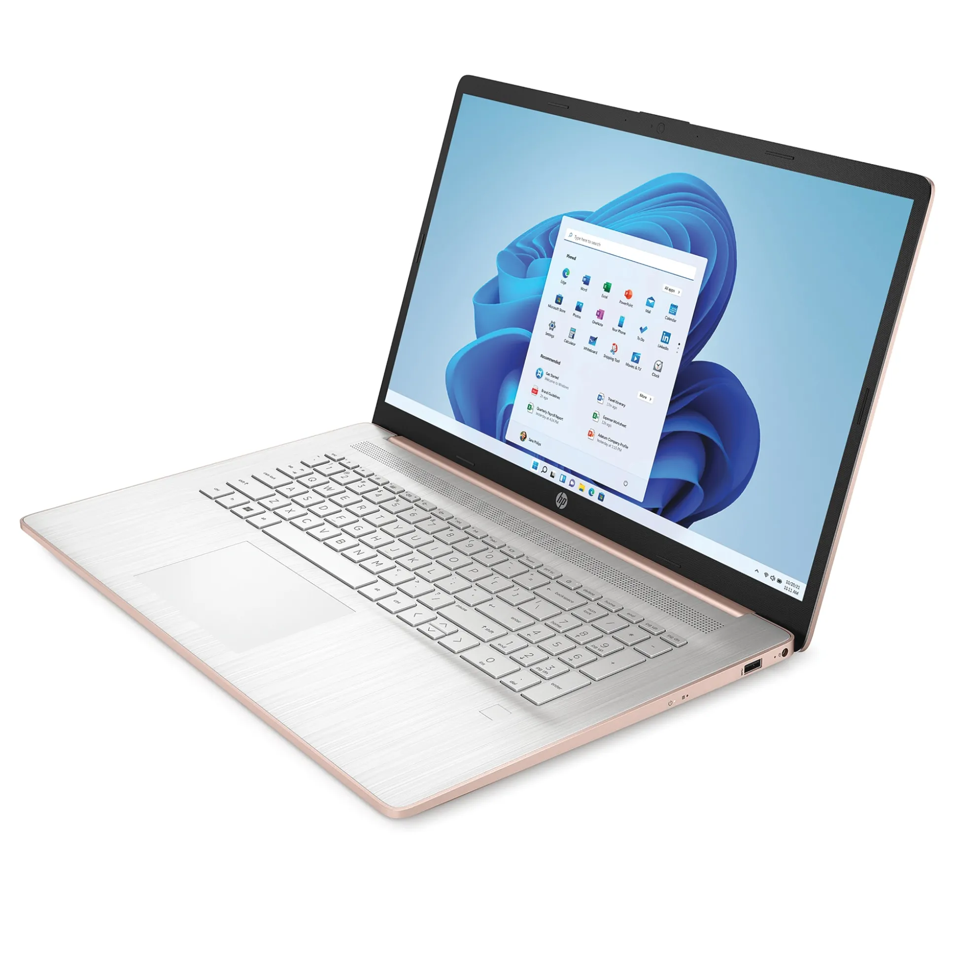 HP 17.3" Laptop