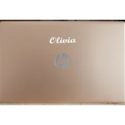 HP 17.3