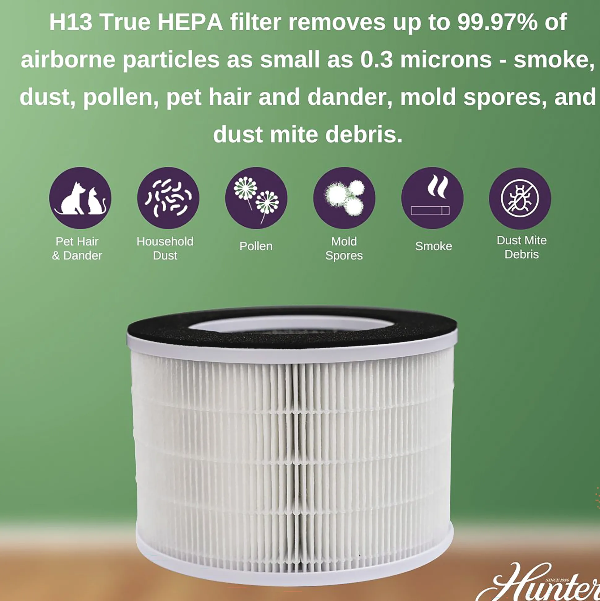 Hunter Replacement HEPA Filter