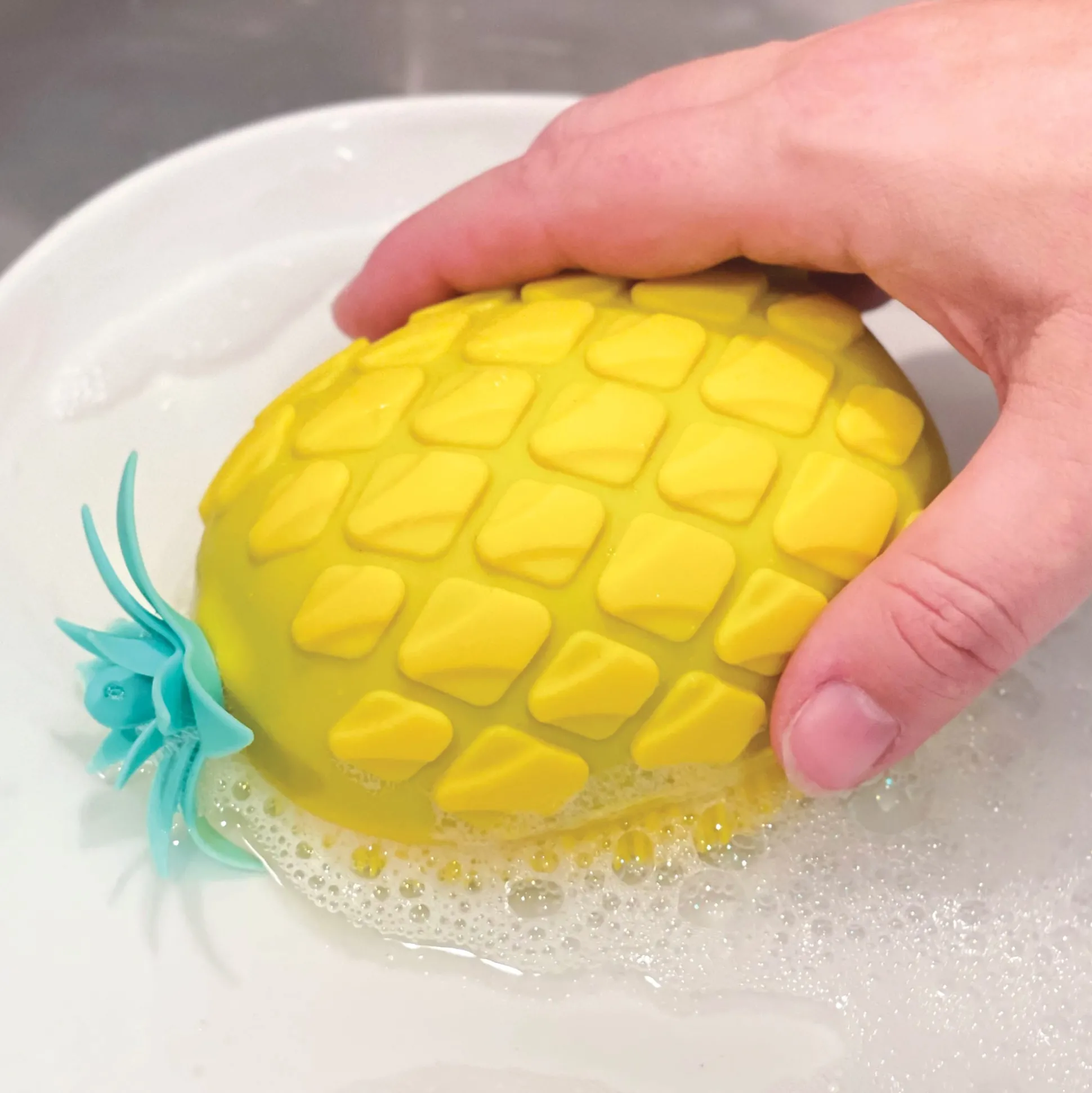2-in-1 Brush & Sponge
