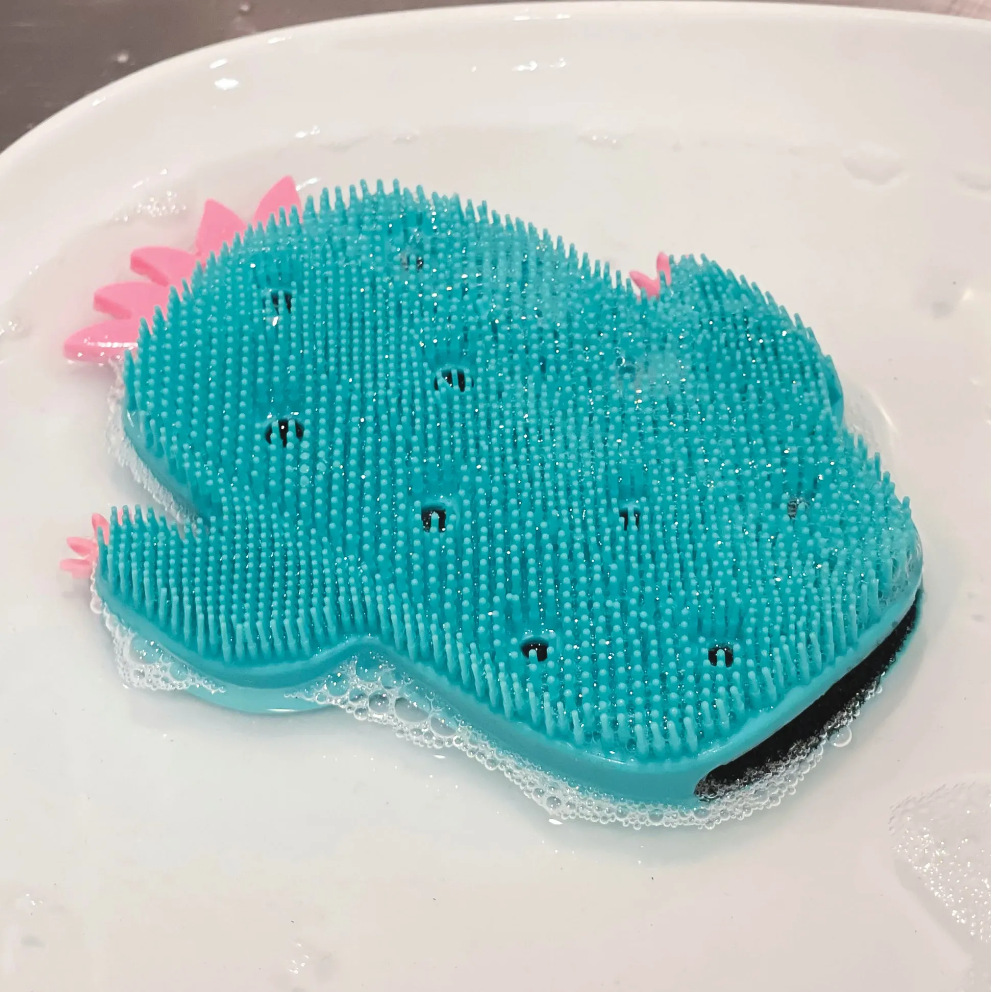 2-in-1 Brush & Sponge