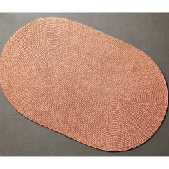 Indoor/Outdoor Sunny Braided Rug