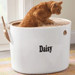 Iris Top-Entry Litter Box