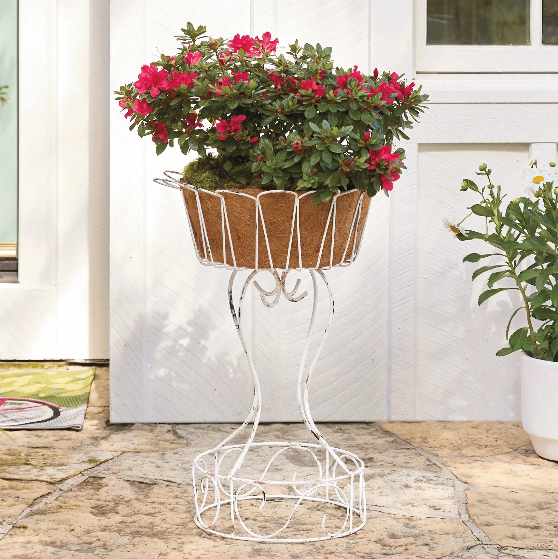 Janlie Weathered Plant Stand