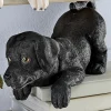 Labrador Shelf Sitter