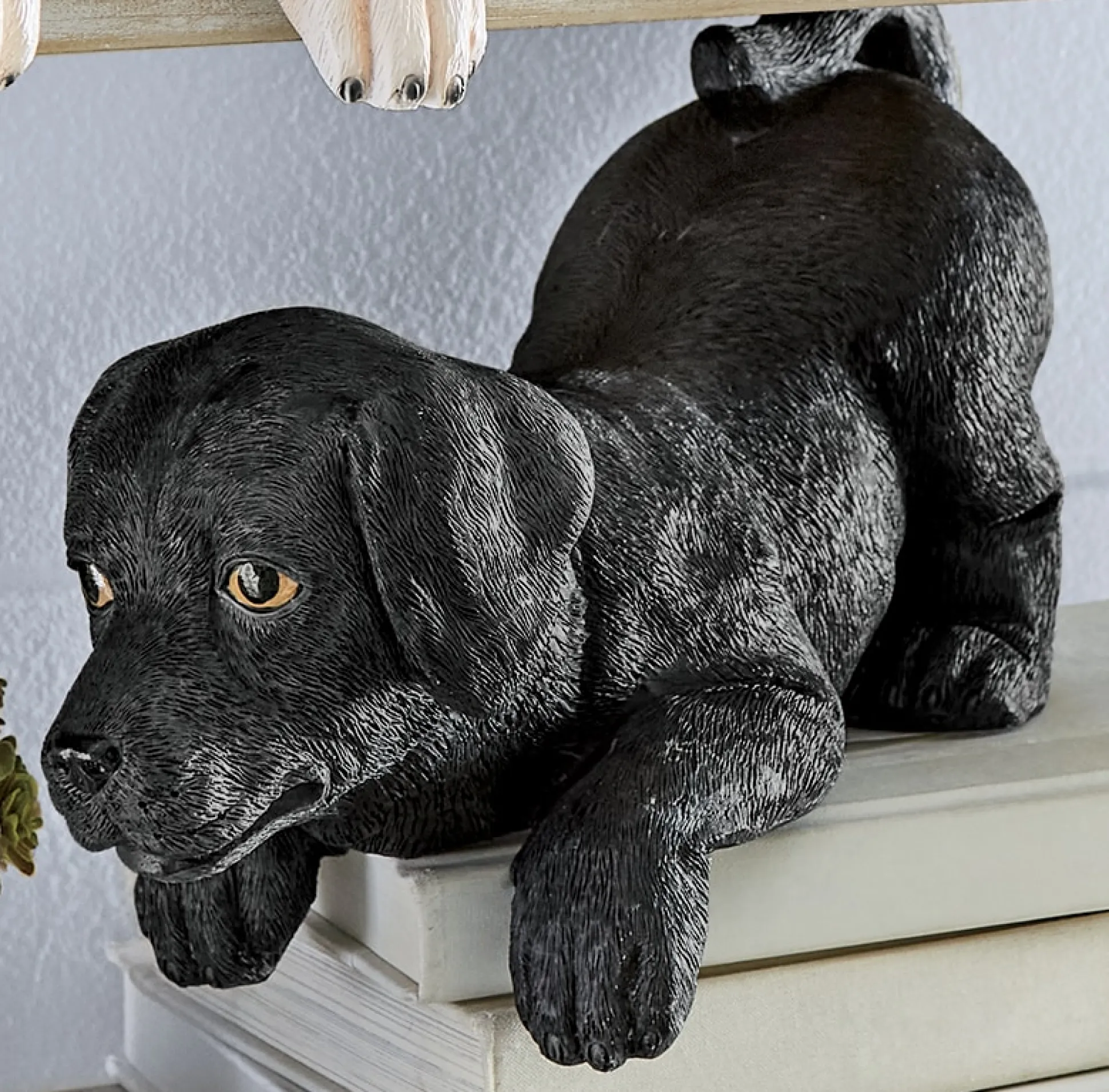 Labrador Shelf Sitter