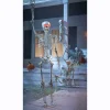 Laughing Poseable Skeleton