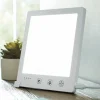 LED Daylight Lamp