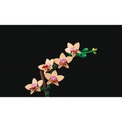 LEGO Botanicals Mini Orchid
