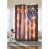 Lit Americana Room Screen