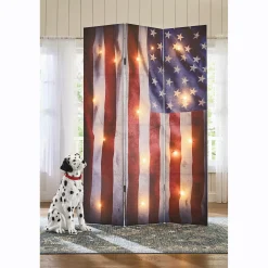 Lit Americana Room Screen