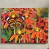 Lit Monarch Butterfly Wall Art