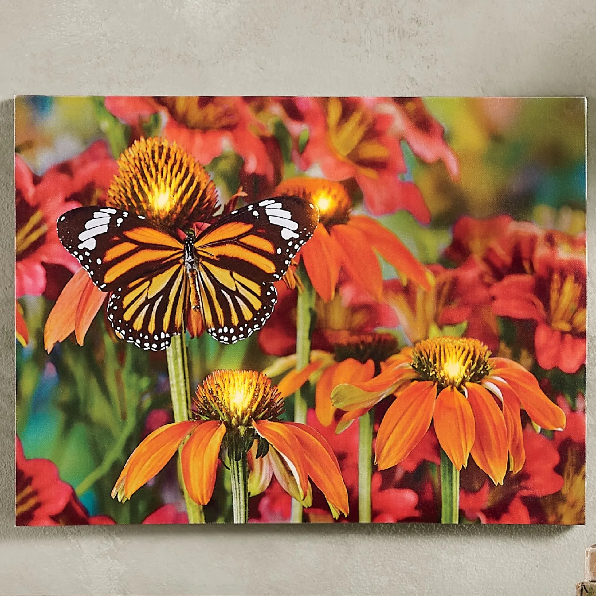 Lit Monarch Butterfly Wall Art