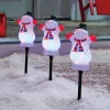Musical Snowmen Pathway Stakes