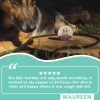 Natural Dog Company 2-oz. Paw Soother