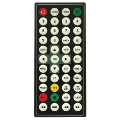Naxa Portable 10.1