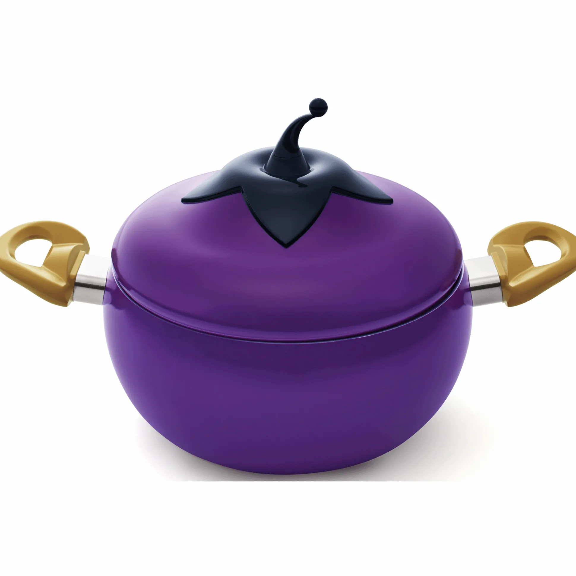 Novelty Dutch Oven with Lid
