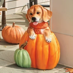 Ottie the Outdoor Pup in a Pumpkin Statue