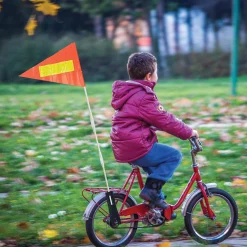 2-Pack Bike Safety Flag